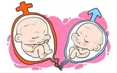 关于代生选性别供卵代生医院